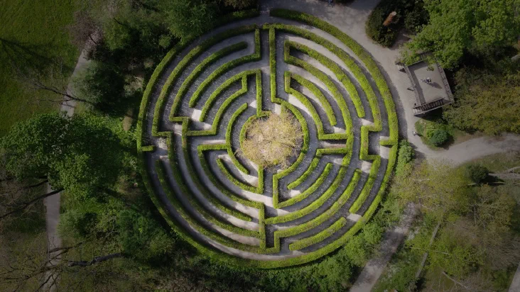 Aerial view of a circular hedge maze in a park, with concentric rings of pathways converging on a bare tree at the center