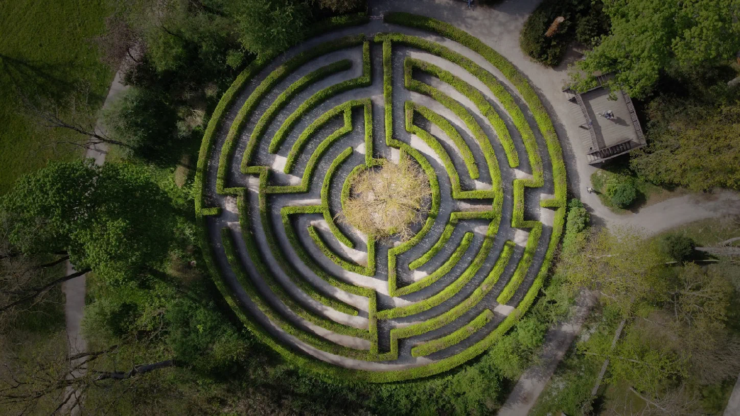 Aerial view of a circular hedge maze in a park, with concentric rings of pathways converging on a bare tree at the center
